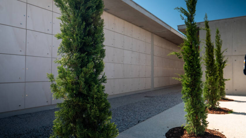 Copia di IE_2025_07_31_00026