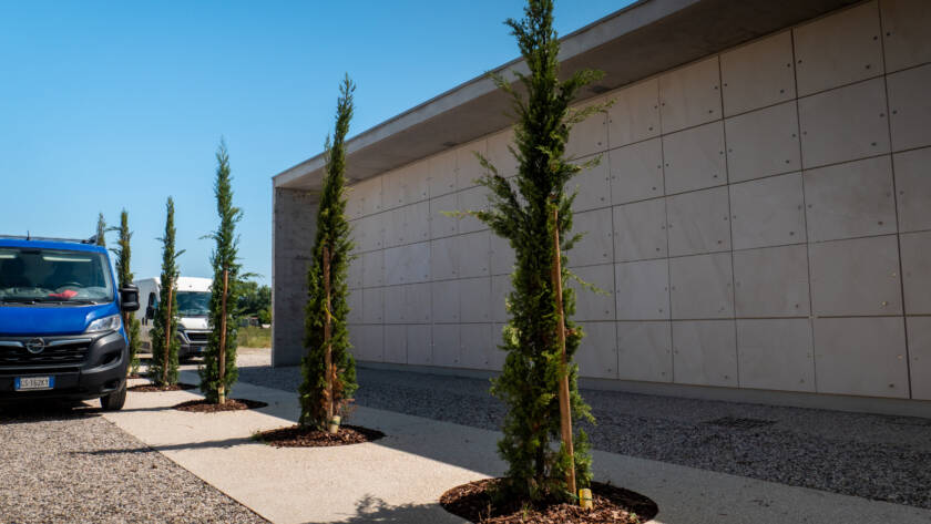 Copia di IE_2025_07_31_00027